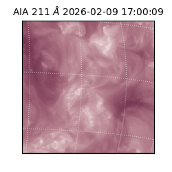 saia - 2026-02-09T17:00:09.626000