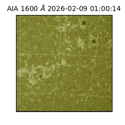 saia - 2026-02-09T01:00:14.125000