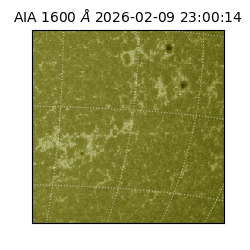 saia - 2026-02-09T23:00:14.126000