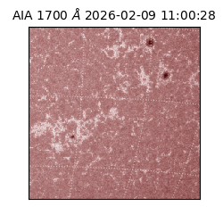 saia - 2026-02-09T11:00:28.717000