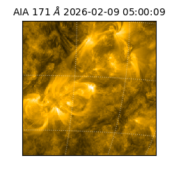 saia - 2026-02-09T05:00:09.350000