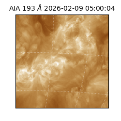 saia - 2026-02-09T05:00:04.843000