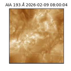 saia - 2026-02-09T08:00:04.843000