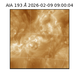 saia - 2026-02-09T09:00:04.843000