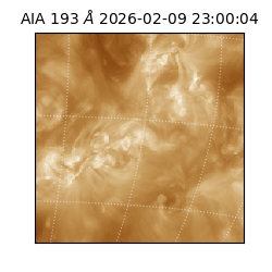 saia - 2026-02-09T23:00:04.843000