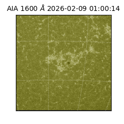 saia - 2026-02-09T01:00:14.125000