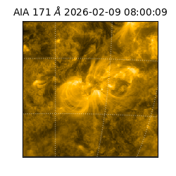 saia - 2026-02-09T08:00:09.349000