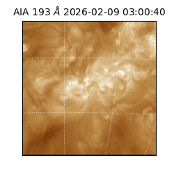 saia - 2026-02-09T03:00:40.844000