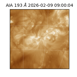 saia - 2026-02-09T09:00:04.843000