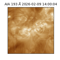 saia - 2026-02-09T14:00:04.843000