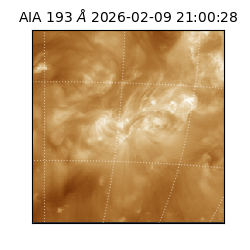 saia - 2026-02-09T21:00:28.843000