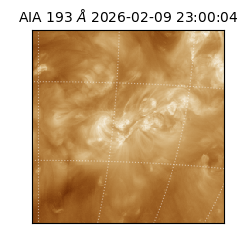 saia - 2026-02-09T23:00:04.843000