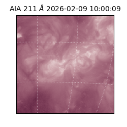 saia - 2026-02-09T10:00:09.630000