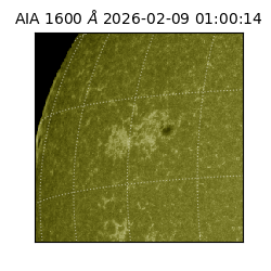 saia - 2026-02-09T01:00:14.125000
