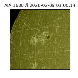 saia - 2026-02-09T03:00:14.126000