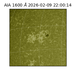 saia - 2026-02-09T22:00:14.126000