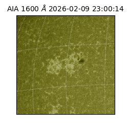 saia - 2026-02-09T23:00:14.126000