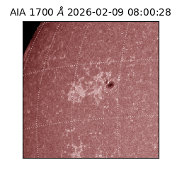 saia - 2026-02-09T08:00:28.717000