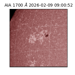 saia - 2026-02-09T09:00:52.721000