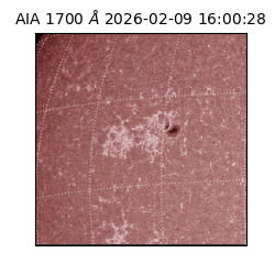 saia - 2026-02-09T16:00:28.717000