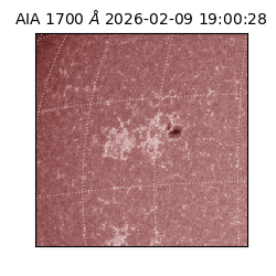 saia - 2026-02-09T19:00:28.718000