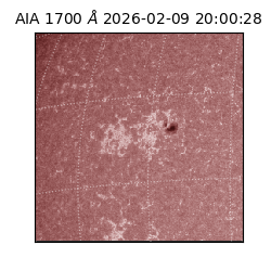 saia - 2026-02-09T20:00:28.717000