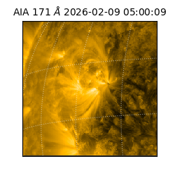 saia - 2026-02-09T05:00:09.350000