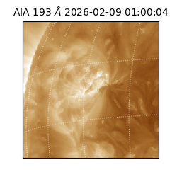 saia - 2026-02-09T01:00:04.846000