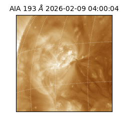 saia - 2026-02-09T04:00:04.843000