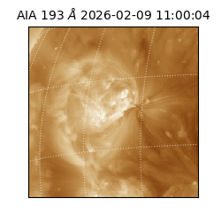 saia - 2026-02-09T11:00:04.843000