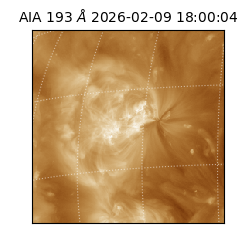 saia - 2026-02-09T18:00:04.843000