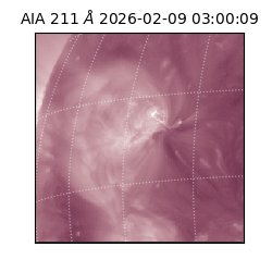 saia - 2026-02-09T03:00:09.626000