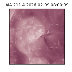 saia - 2026-02-09T08:00:09.626000