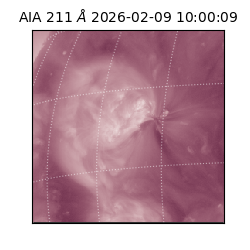 saia - 2026-02-09T10:00:09.630000