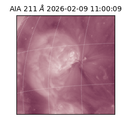 saia - 2026-02-09T11:00:09.626000