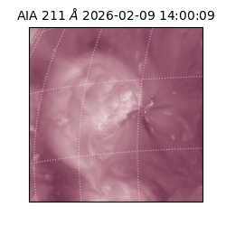 saia - 2026-02-09T14:00:09.626000