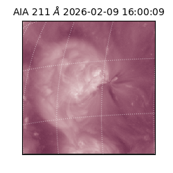 saia - 2026-02-09T16:00:09.630000