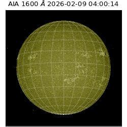 saia - 2026-02-09T04:00:14.126000