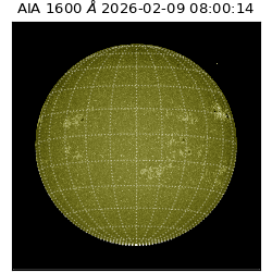 saia - 2026-02-09T08:00:14.126000