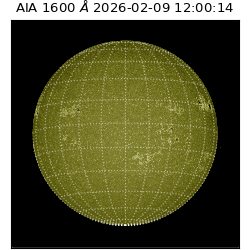 saia - 2026-02-09T12:00:14.126000