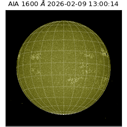 saia - 2026-02-09T13:00:14.129000