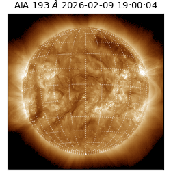 saia - 2026-02-09T19:00:04.843000