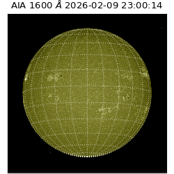 saia - 2026-02-09T23:00:14.126000