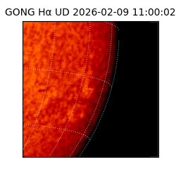 gong - 2026-02-09T11:00:02