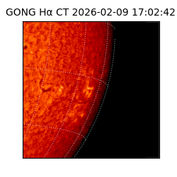 gong - 2026-02-09T17:02:42