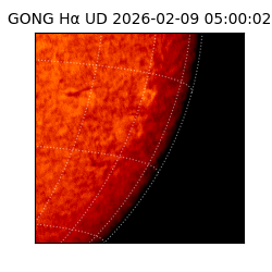 gong - 2026-02-09T05:00:02