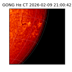 gong - 2026-02-09T21:00:42