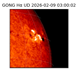 gong - 2026-02-09T03:00:02