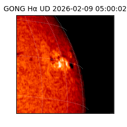 gong - 2026-02-09T05:00:02