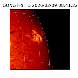gong - 2026-02-09T08:41:22